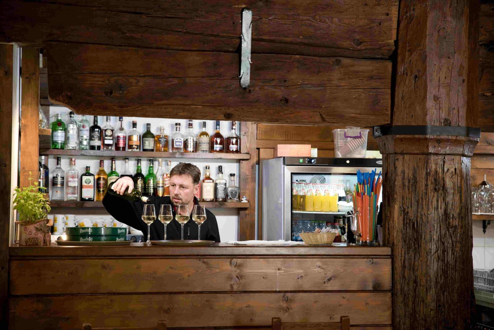 Bar ZDROJe — výčap piva a doporučené nápoje